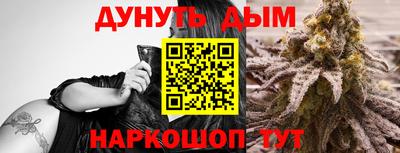 Альфа ПВП Новозыбков