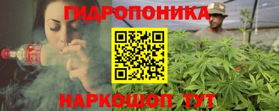 Альфа ПВП Новозыбков