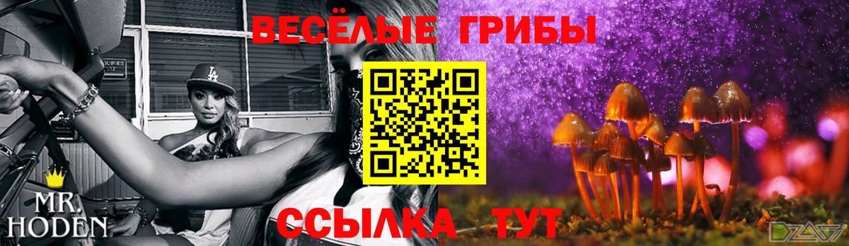 Псилоцибиновые грибы Psilocybine cubensis Тулун