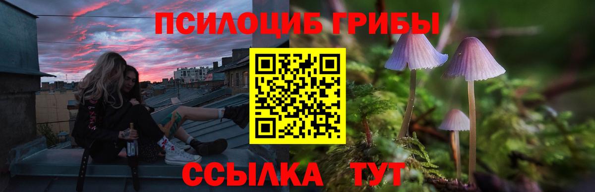 Тулун  Псилоцибиновые грибы Cubensis  Псилоцибиновые грибы мухоморы  Вход с VPN 